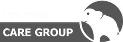 Logo for Ndlovu Care Group - White