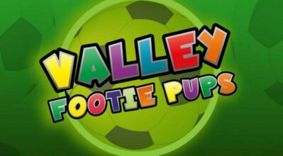 Logo for Valley Footie pups