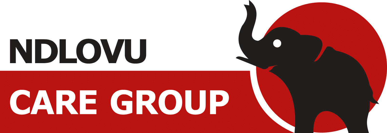 Logo for Ndlovu Care Group